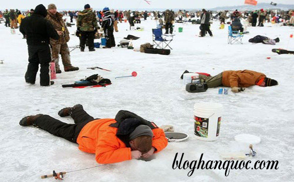 Lễ hội câu cá trên băng