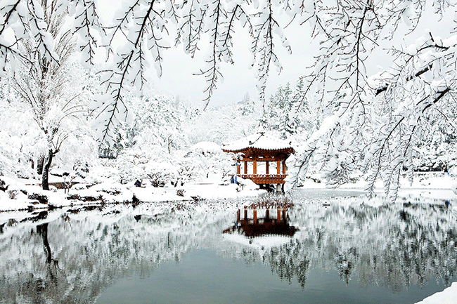 Mùa đông của Hàn Quốc – Đẹp và lạ