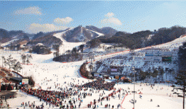 Gangwondo – Điểm đến lý tưởng cho những ai đam mê trượt tuyết