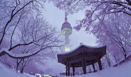 Đón những bông tuyết đầu mùa tại Seoul xinh đẹp