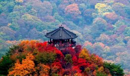 Thiên nhiên hùng vĩ của Núi Seorak – Gangwondo