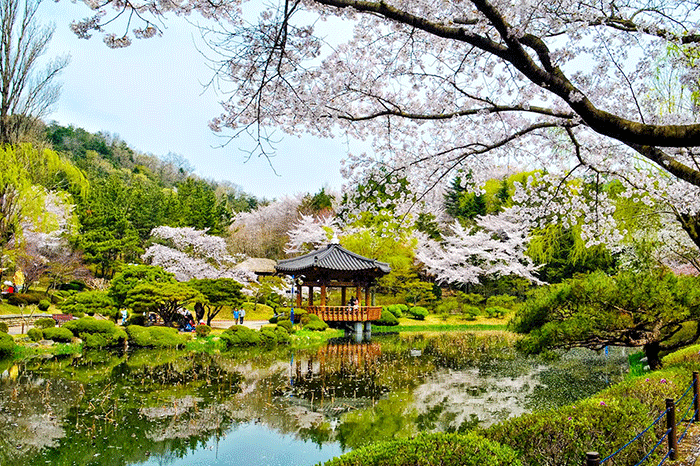 Hàn-Quốc-điểm-đến-hoàn-hảo-cho-khách-du-lịch Hàn-Quốc-điểm-đến-hoàn-hảo-cho-khách-du-lịch