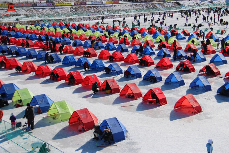 Lễ hội cá hồi Pyeongchang