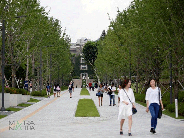 Chất-lượng-giáo-dục-ở-Seoul-hay-các-tỉnh-khác Chất-lượng-giáo-dục-ở-Seoul-hay-các-tỉnh-khác