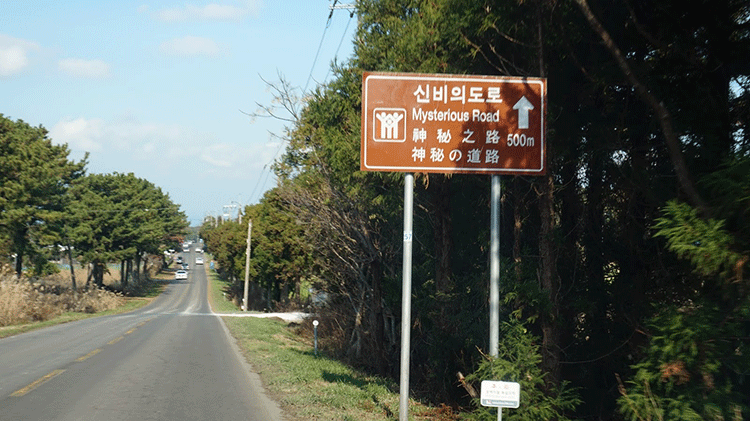 Con-đường-ma-quái-Dokkaebi