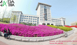 Kinh nghiệm chọn trường dành cho các bạn muốn đi du học Hàn Quốc