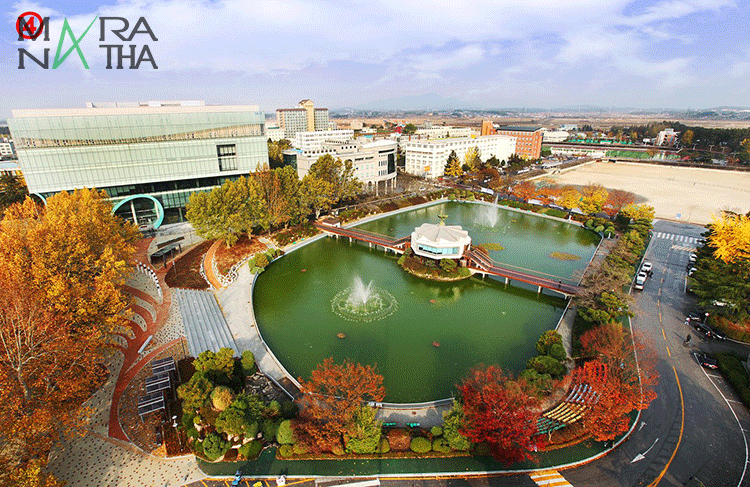 Trường-đại-học-Wonkwang-Hàn-Quốc