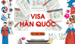 Hướng dẫn thủ tục gia hạn và chuyển đổi các loại visa du học Hàn Quốc