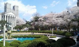 Chi phí du học Hàn Quốc tại trường đại học Kyung Hee là bao nhiêu?
