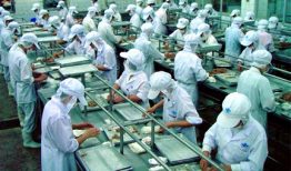 Năm 2018 Hàn Quốc có mở cửa nhận lại lao động Việt Nam hay không?
