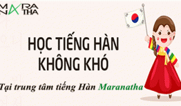 Dạy tiếng Hàn tại Quảng Ninh, Trung tâm đào tạo tiếng Hàn uy tín ở Quảng Ninh