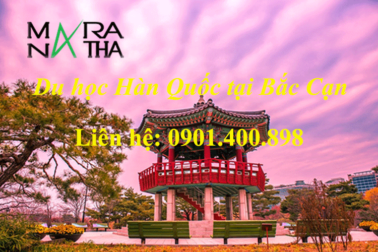 Du học Hàn Quốc tại Bắc Cạn