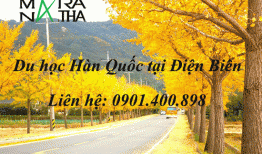 Du học Hàn Quốc tại Điện Biên, Tư vấn du học Hàn Quốc ở Điện Biên