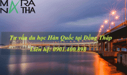Du học Hàn Quốc tại Đồng Tháp, Tư vấn du học Hàn Quốc ở Đồng Tháp