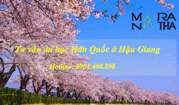 Du học Hàn Quốc tại Hậu Giang, Tư vấn du học Hàn Quốc ở Hậu Giang