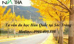 Du học Hàn Quốc tại Sóc Trăng, Tư vấn du học Hàn Quốc ở Sóc Trăng