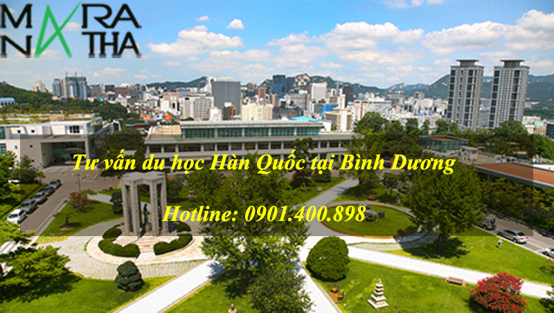 Tư vấn du học Hàn Quốc tại Bình Dương