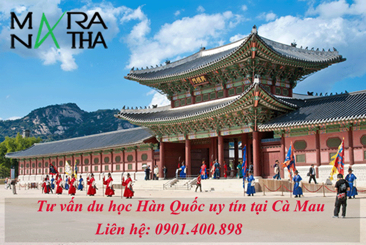 Tư vấn du học Hàn Quốc tại Cà Mau