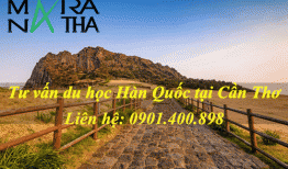Du học Hàn Quốc tại Cần Thơ, Tư vấn du học Hàn Quốc ở Cần Thơ