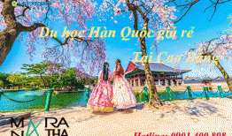 Du học Hàn Quốc ở Cao Bằng, Tư vấn du học Hàn Quốc ở Cao Bằng