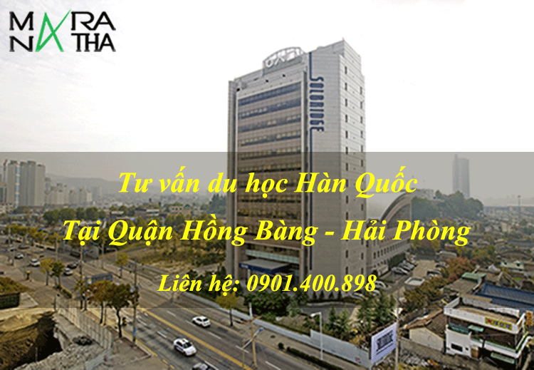 Tư vấn du học Hàn Quốc tại Quận Hồng Bàng - Hải Phòng Tư vấn du học Hàn Quốc tại Quận Hồng Bàng - Hải Phòng
