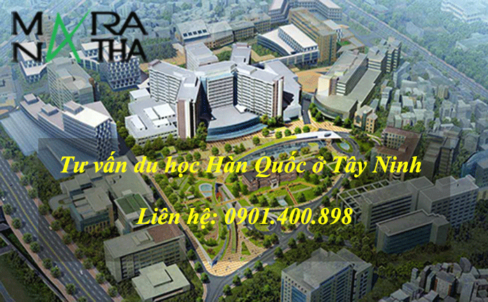 Tư vấn du học Hàn Quốc ở Tây Ninh