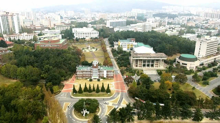 Trường đại học quốc gia Chonnam
