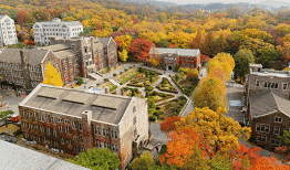 Trường đại học Yonsei – Yonsei University thông tin mới nhất