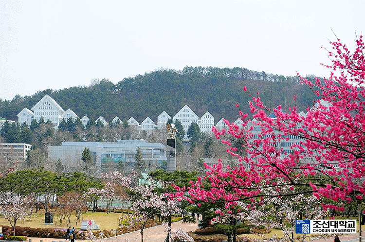 Trường đại học Chosun