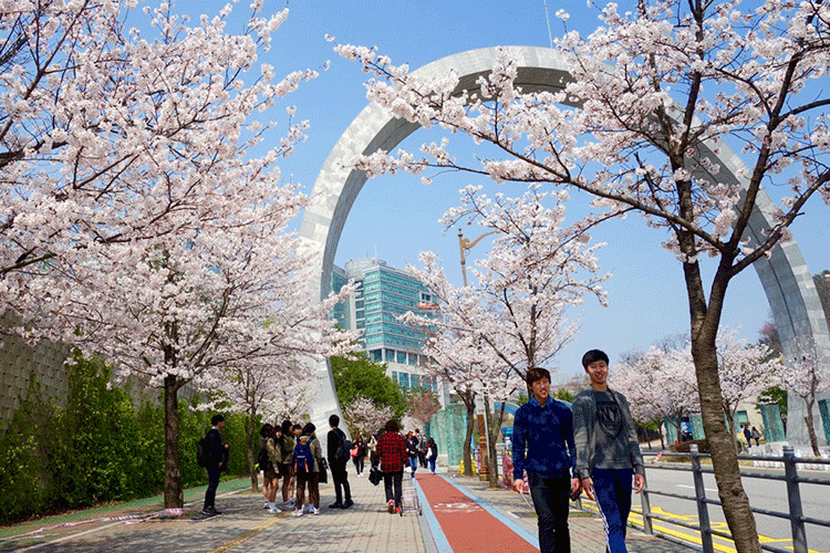 Nên du học Hàn Quốc tại Seoul hay thành phố Busan Nên du học Hàn Quốc tại Seoul hay thành phố Busan