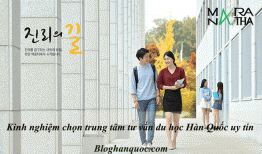 Kinh nghiệm chọn trung tâm tư vấn du học Hàn Quốc uy tín