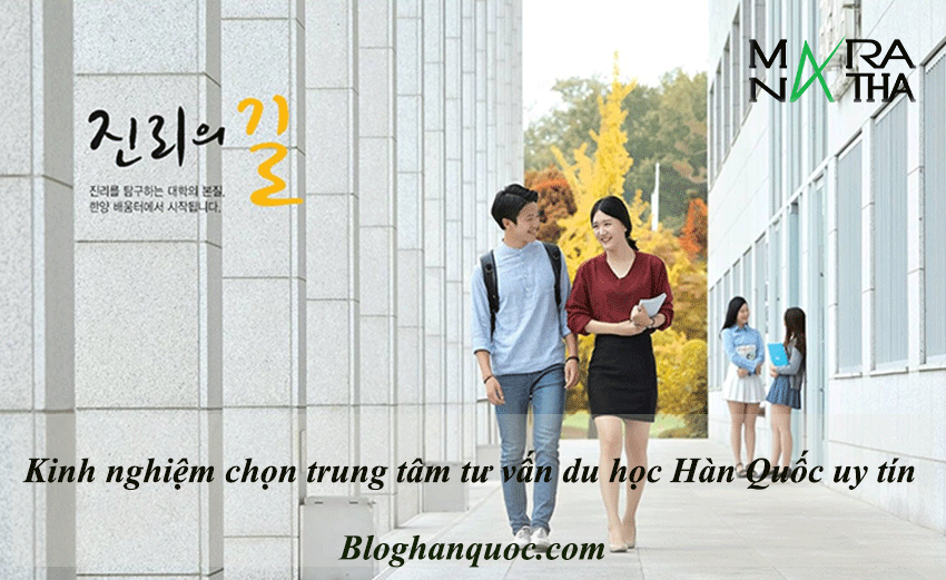 Kinh nghiệm chọn trung tâm tư vấn du học Hàn Quốc uy tín