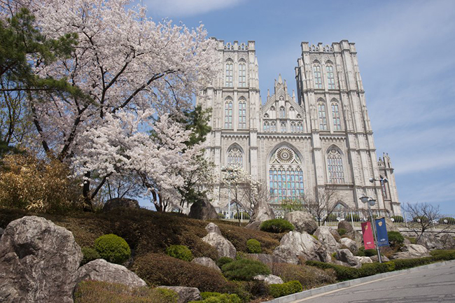  Đại học Kyung Hee