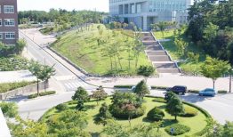 Đại học quốc gia Kunsan – trường công lập visa thẳng