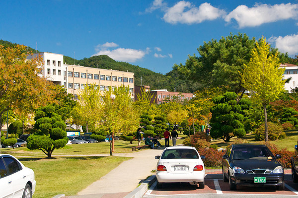 Andong national university