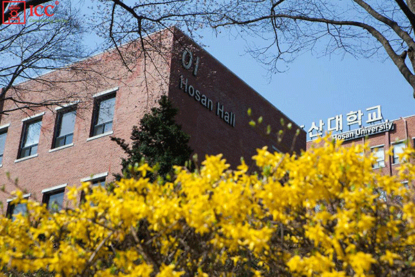 Hosan university