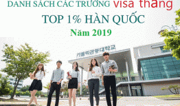 Danh sách các trường thuộc top 1% visa thẳng năm 2019