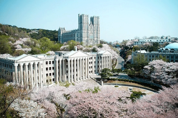 Đại học Kyunghee