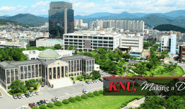 Thông tin về đại học quốc gia Kyungpook – trường uy tín, có học phí rất rẻ
