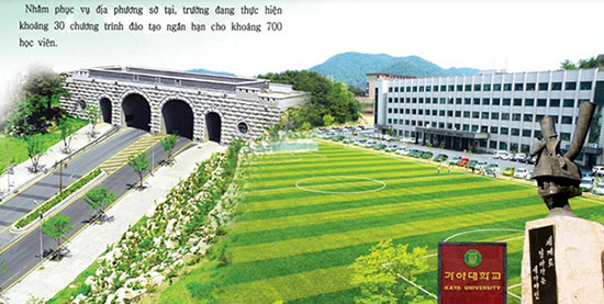 Đại học KAYA