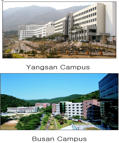 đại học Youngsan
